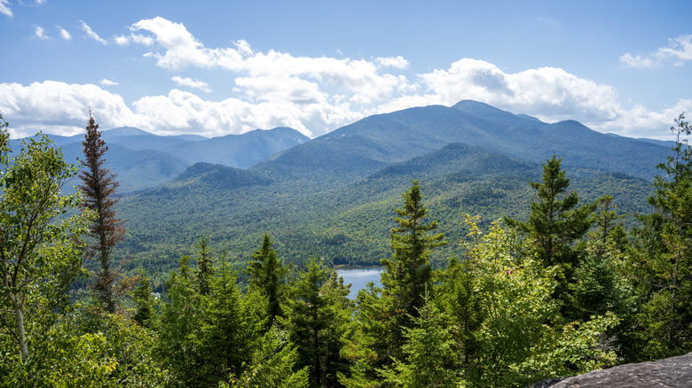 Horseback riding trail