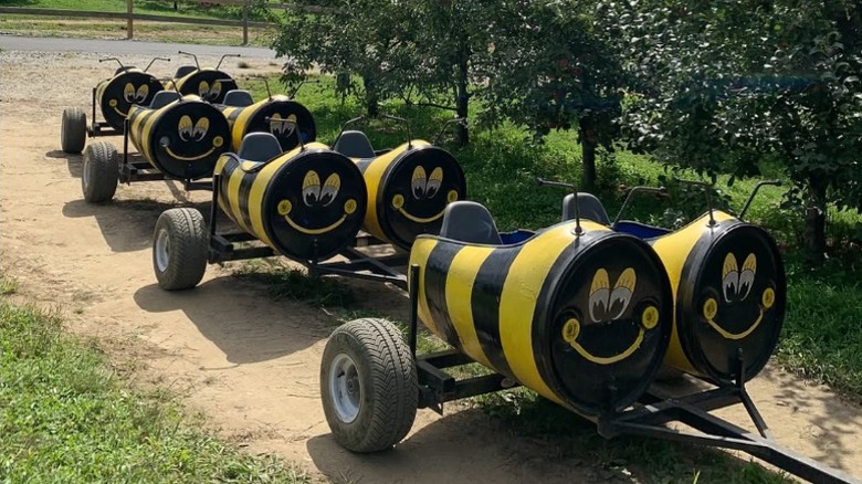 The bee mobiles on the Bee Train next to the apple orchard at Sky Top Orchard.