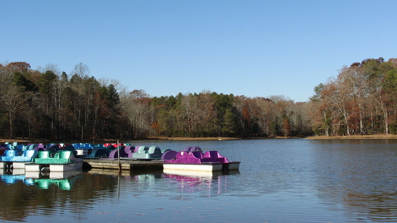 Peddle boats at Dan Nicholas Park during the day in North Carolina.