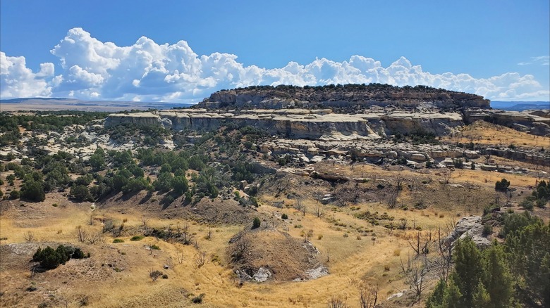 Sandstone cliff and rolling foothills at Medicine Lodge Archaeological Site, Wyoming