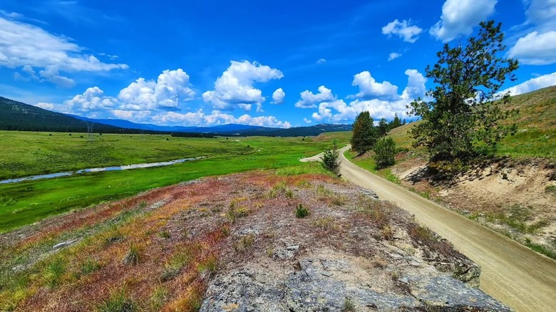 A wide view of Lost Trail National Wildlife Refuge in Montana, showing a lush green field and a deep blue sky