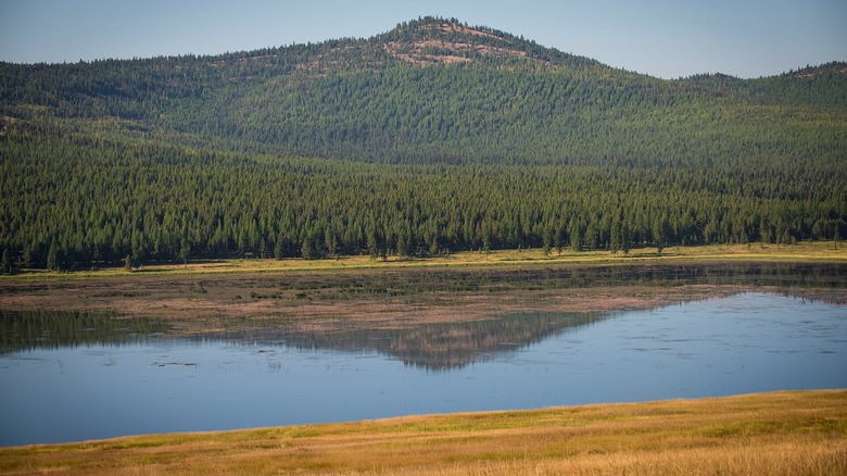 Dahl Lake at ﻿﻿Lost Trail National Wildlife Refuge, with a small mountain peak in the background