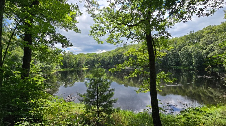A kettle lake surrounded by greenery at Chippewa Moraine State Recreation Area, Wisconsin