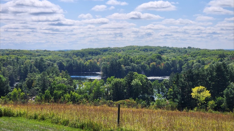 Forested hillside bordering a lake at Chippewa Moraine State Recreation Area, Wisconsin
