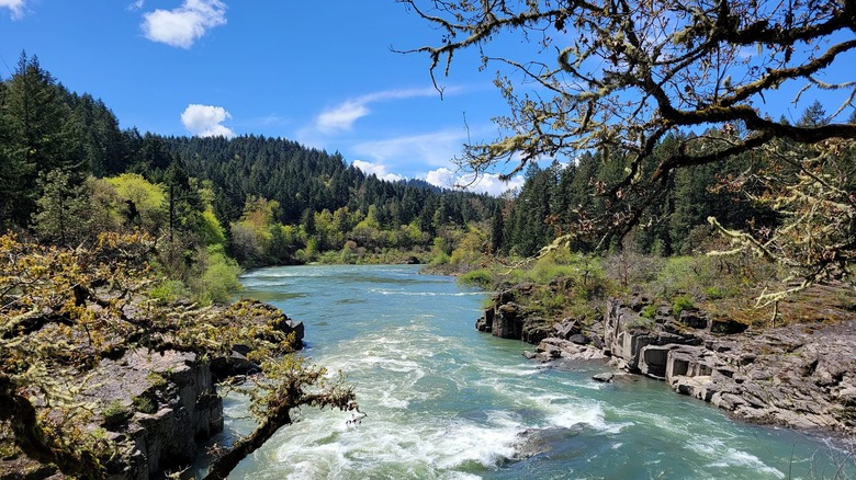 North Umpqua River and Little River colliding between rocks