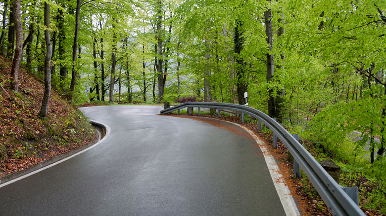 A winding road through the woods