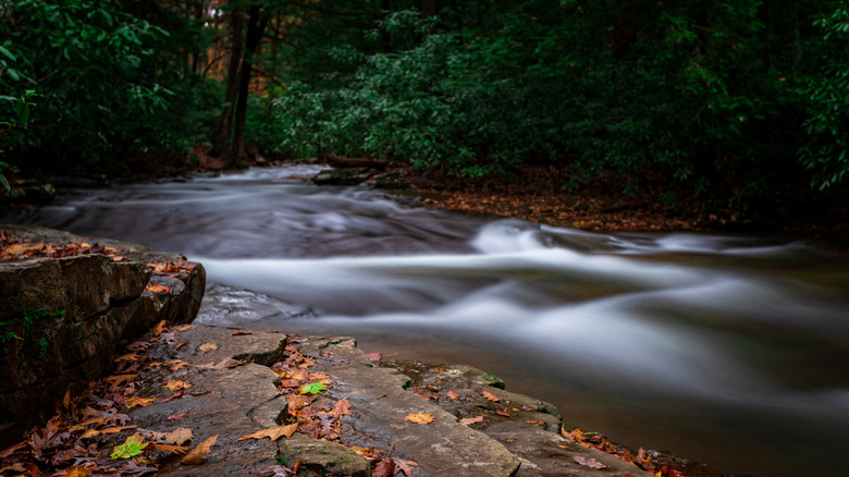 Smooth flowing stream at Linn Run State Park, Pennsylvania