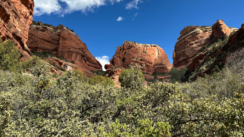 Red rock formations along the Boynton Canyon Trail in Sedona, Arizona