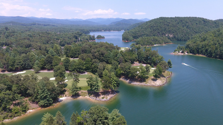 A lake with boats, trees, and a golf course