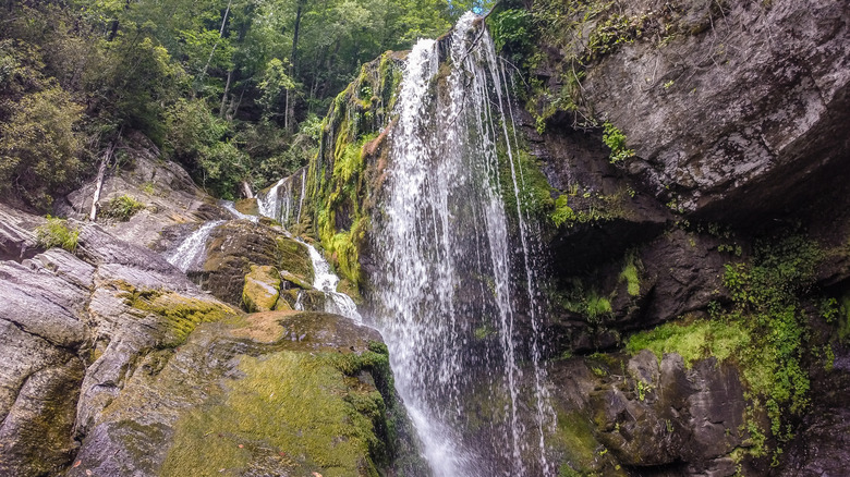 A waterfall spilling over rocks with forest surrounding