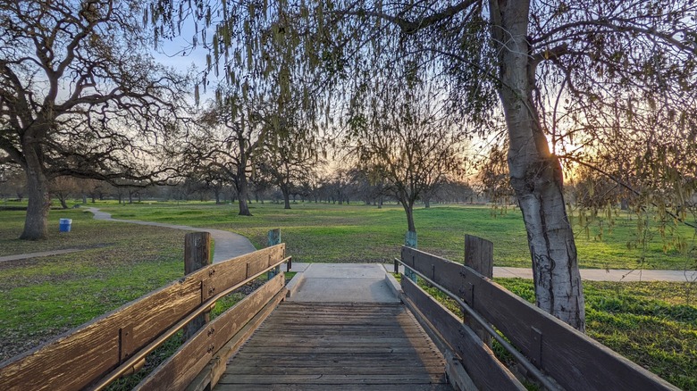 Wood bridge and path at Shumway Oak Grove Regional Park, Stockton