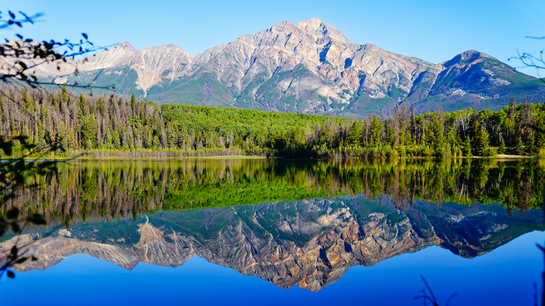 mountains and trees reflected in clear, glass-like water of Patricia Lake