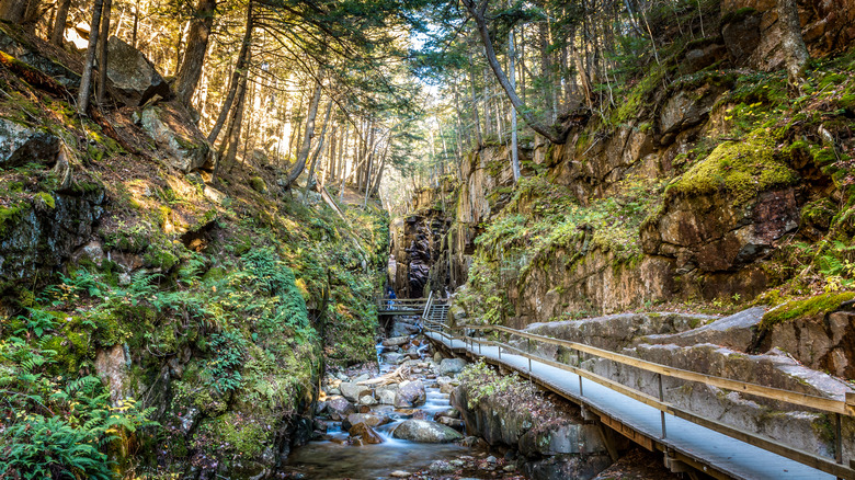 Flume Gorge in the White Mountains near Plymouth, New Hampshire
