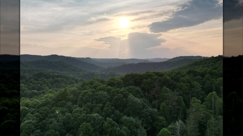 Photo of a view point on the Hatfield Mccoy Trail system