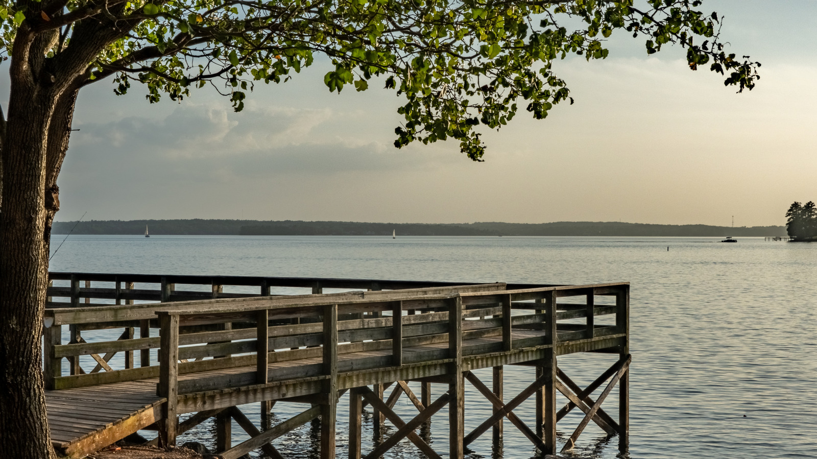 12 Best Family Beaches Near South Carolina for Fishing