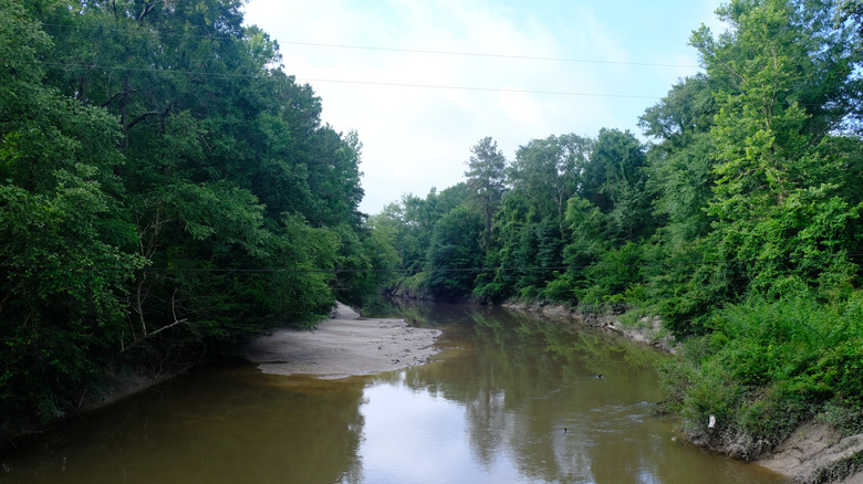 River going through Kisatchie National Forest near Lecompte, Louisiana.