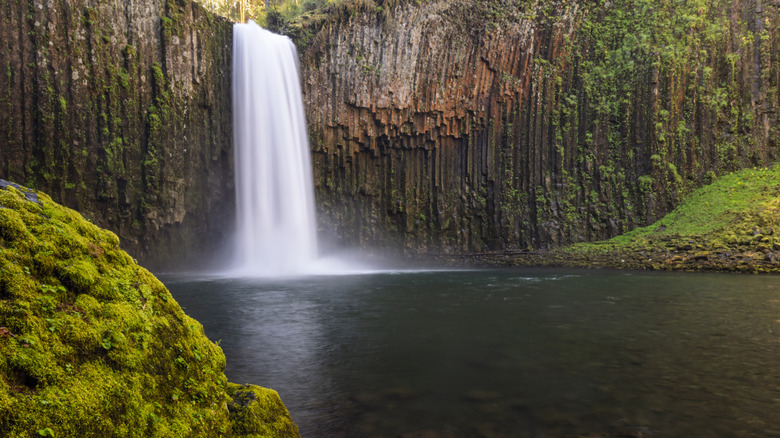 The Abiqua Falls of the Santiam State Forest
