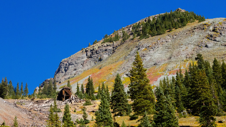 A worn-down wooden shack stands in front of a mountain and pines at Tomboy ghost town.