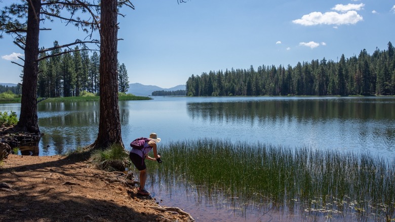 a hiker on the marshy shores of Mountain Meadows Reservoir