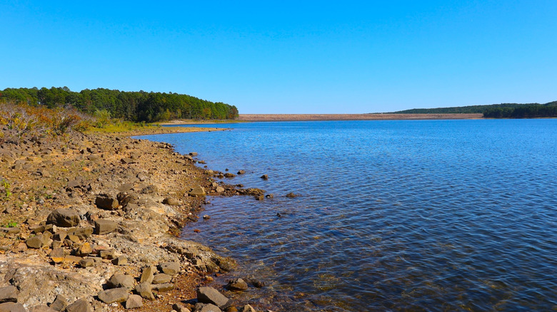 DeGray Lake shoreline.