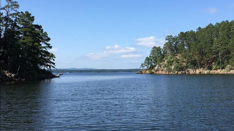 DeGray Lake, Arkansas, on a sunny day, with trees in the distance