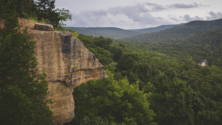An atmospheric image of Yellow Rock Overlook in Devil's Den State Park near West Fork, Arkansas. The overlook is surrounded by undulating green trees.