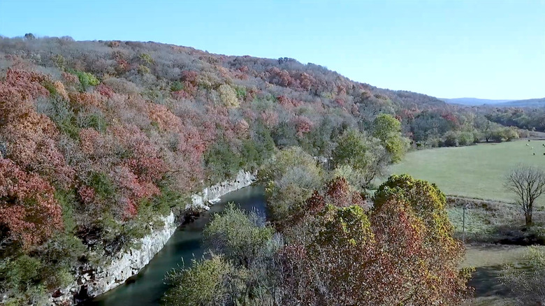 River surrounded by trees in fall in West Fork, Arkansas