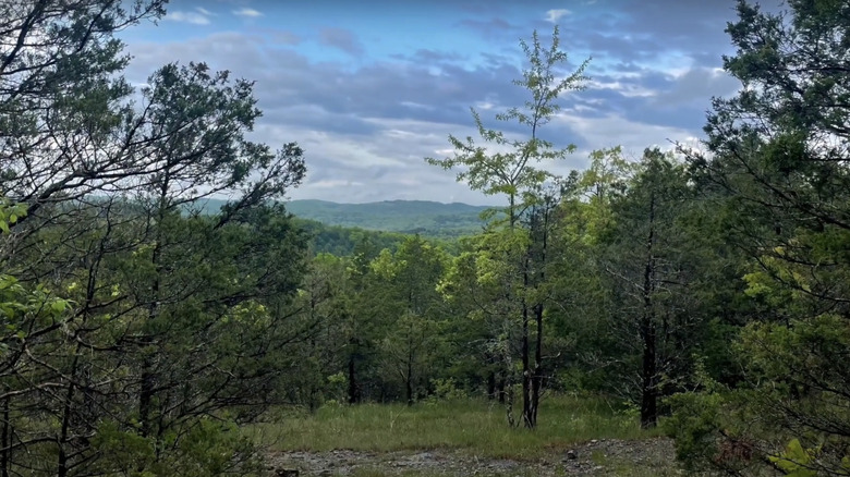 The Hercules-Glades WIlderness