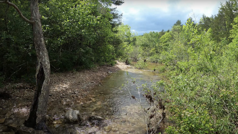 Long Creek in Hercules Glades Wilderness