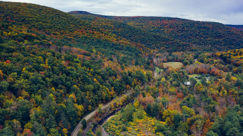 Aerial view of the Catskills Mountains during the autumn months with a roadway in the foreground