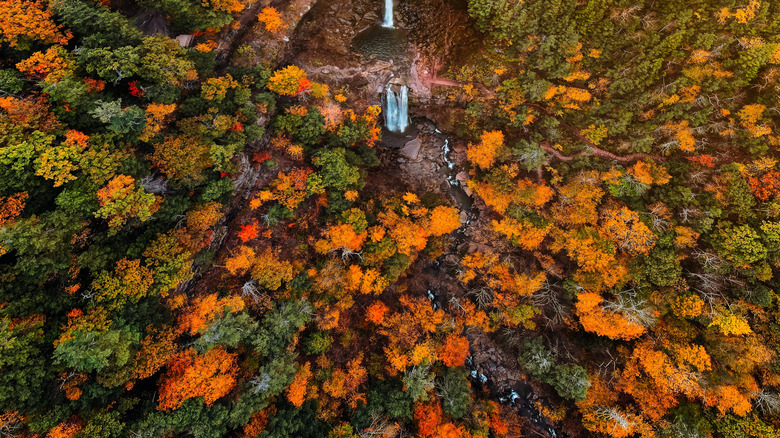Aerial view of Kaaterskills Falls in the Catskills Mountains of New York during an autumn day