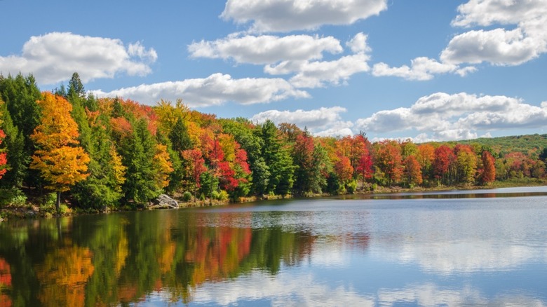 Fall at Parker Dam State Park with Moshannon State Forest in the background