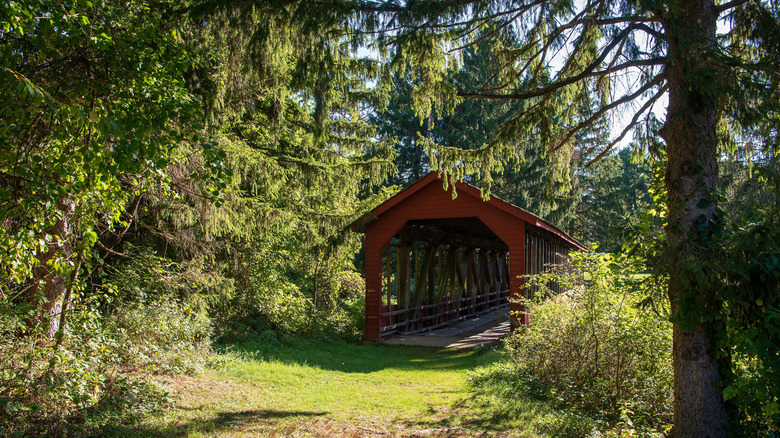 Harrity Covered Bridge in Beltzville State Park during the day with trees surrounding the bridge's entrance.