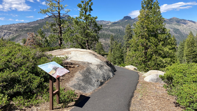 Paved hiking trail at Donnell Vista, California