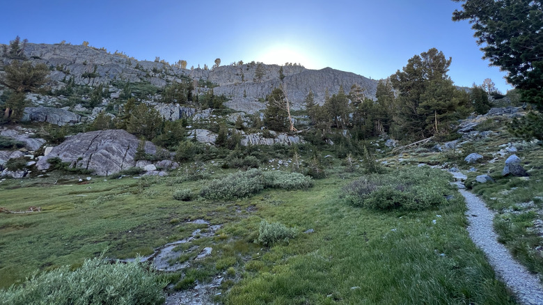 The John Muir Trail moves through trees in the mountains around Garnet Lake