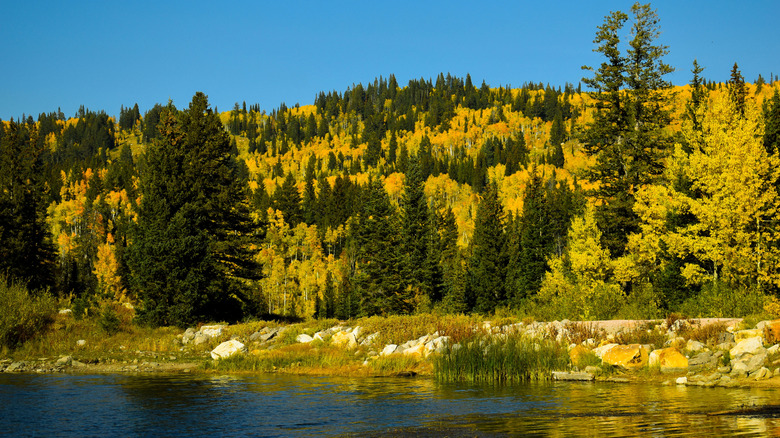 Tony Grove in Lake Uinta-Wasatch-Cache National Forest Utah