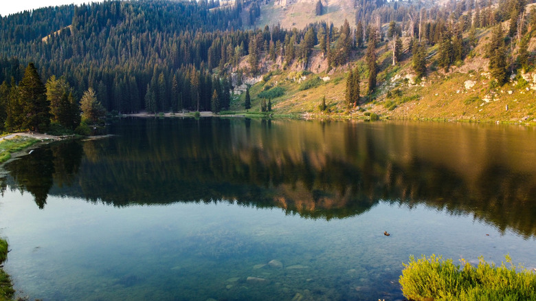 Aerial Summer View of Tony Grove in Lake Uinta-Wasatch-Cache National Forest Utah