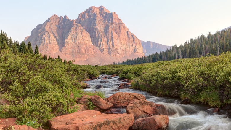 Red Castle Peak above green trees and rushing stream