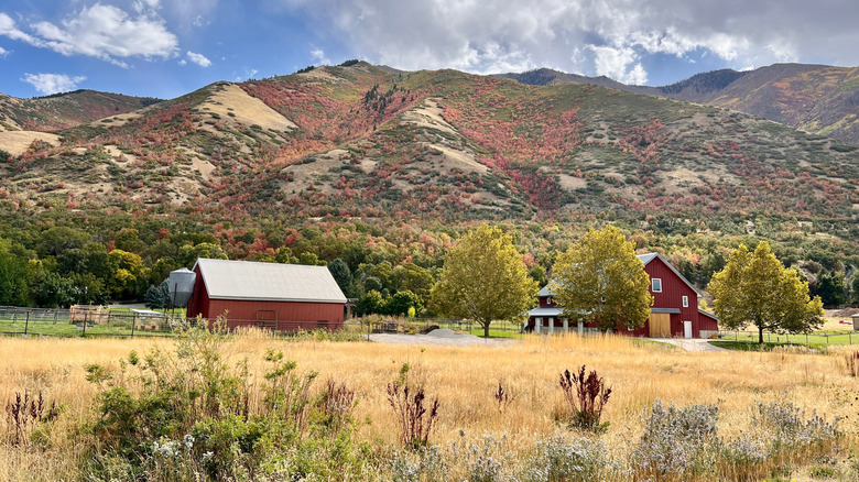A farmhouse and the Wasatch Mountains in Mapleton, Utah