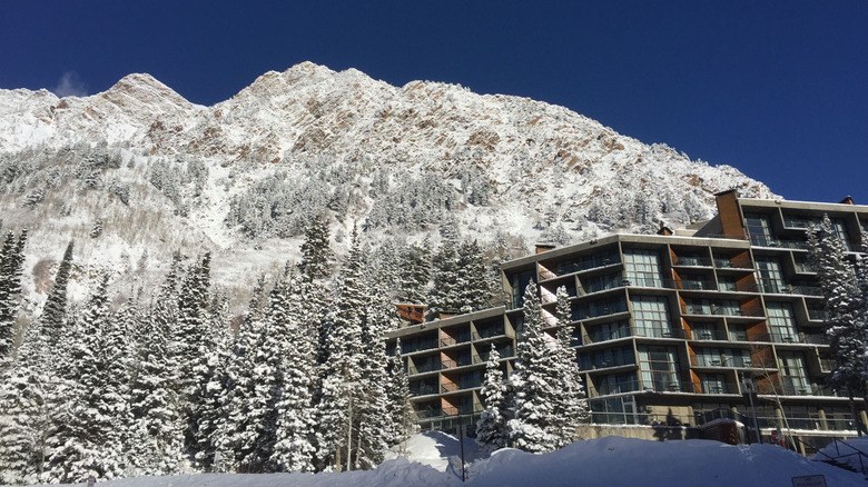Snow covered peaks behind Snowbird's luxury hotel