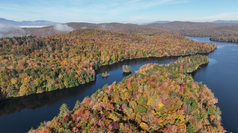 Autumn leaves in Vermont