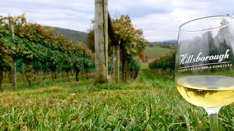 Hillsborough Winery, Brewery, and Vineyard