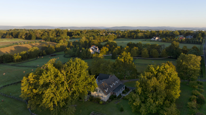 Country views near Hillsboro, VA