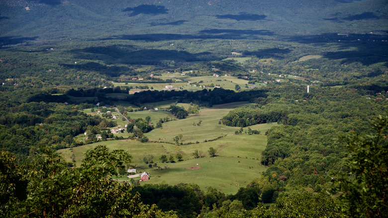 Shenandoah National Park overlook