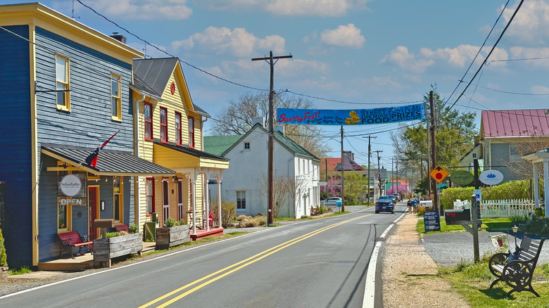 Houses lining a street in Sperryville, Virginia
