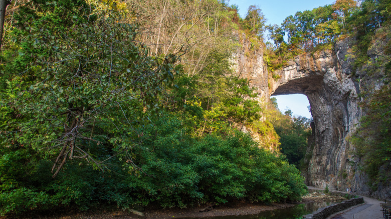 A walking path leading to the natural bridge in Natural Bridge State Park in Virginia
