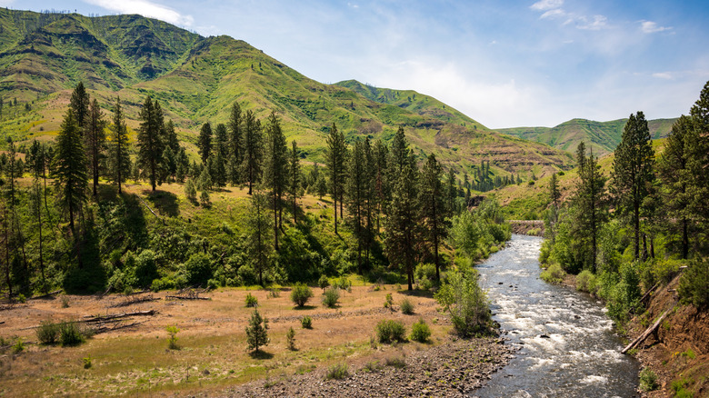 The Snake River in Hells Canyon