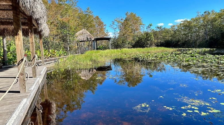 Wooden boardwalk in Grassy Waters Preserve