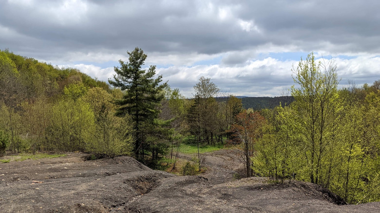 A scenic photo from Wolf Den Run State Park in Maryland