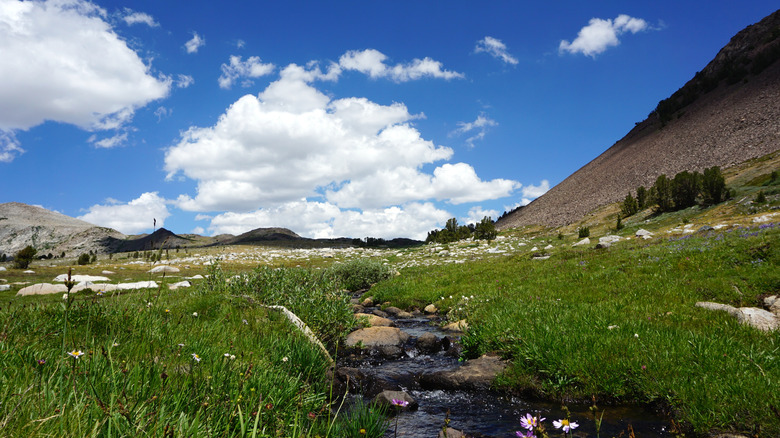 Views from Gaylor Lakes Trail at Yosemite National Park